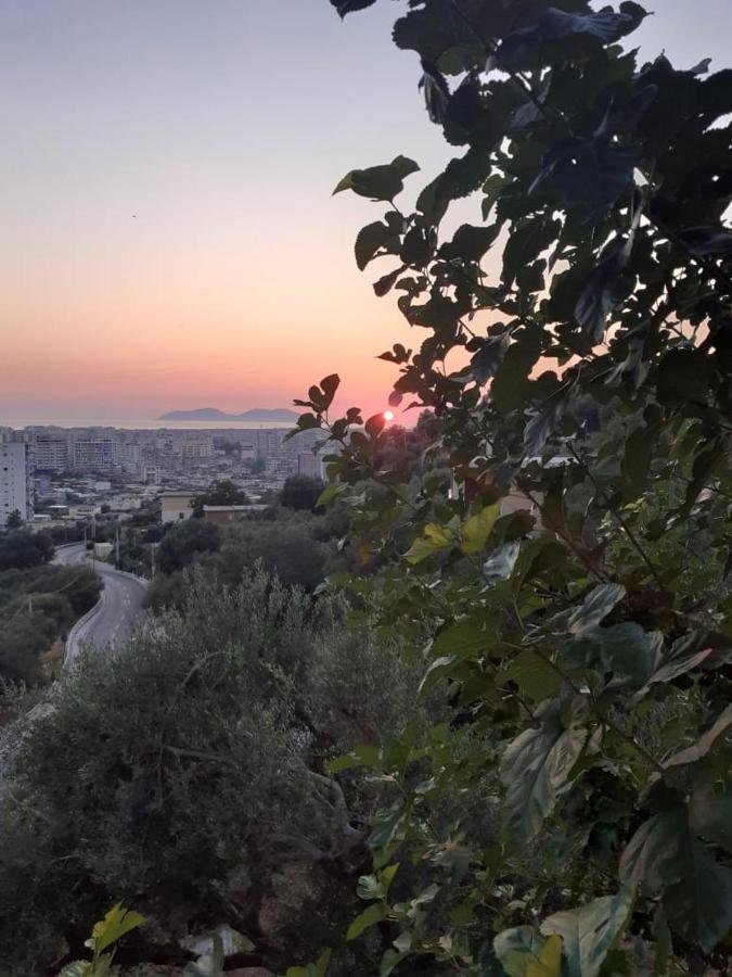 Vila Oliven Vlorë Eksteriør billede