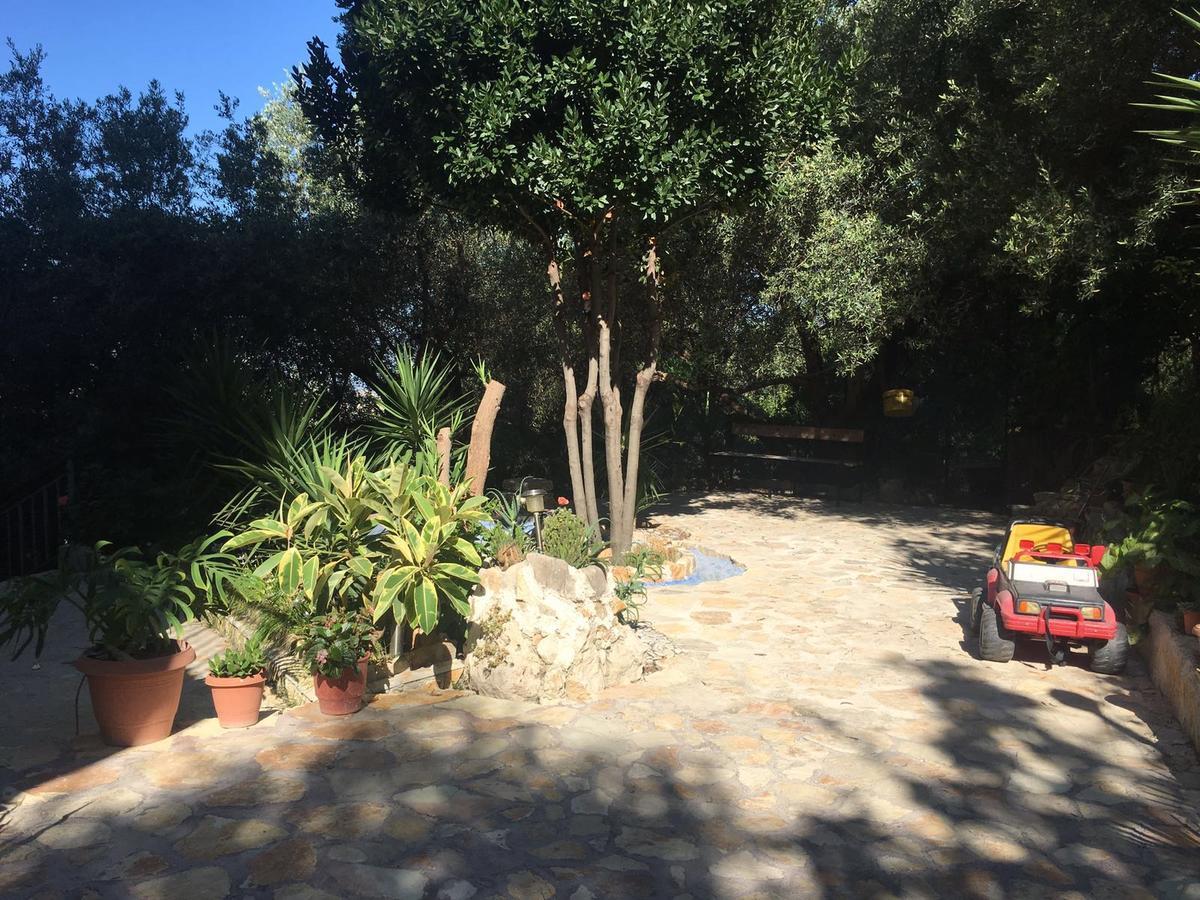 Vila Oliven Vlorë Eksteriør billede