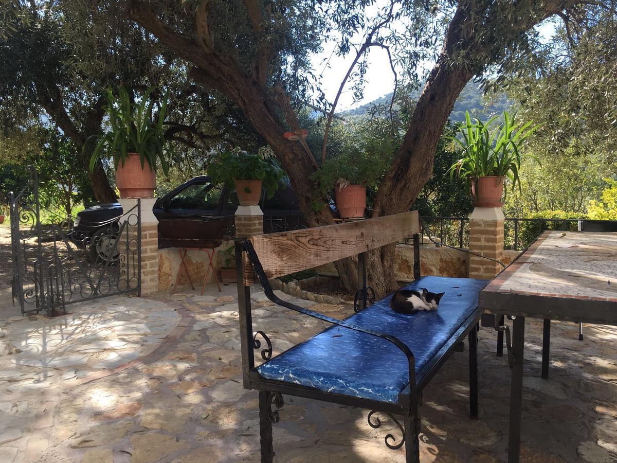 Vila Oliven Vlorë Eksteriør billede