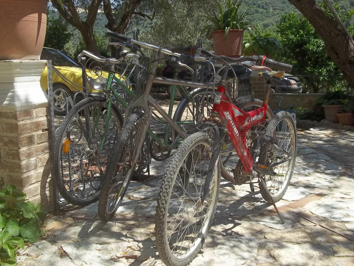 Vila Oliven Vlorë Eksteriør billede